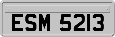ESM5213