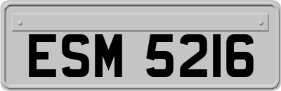 ESM5216