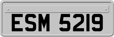 ESM5219
