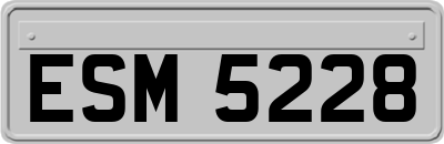 ESM5228