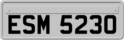 ESM5230