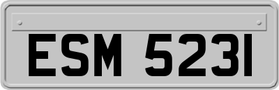 ESM5231