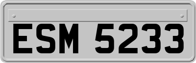 ESM5233