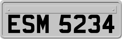 ESM5234