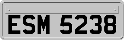ESM5238