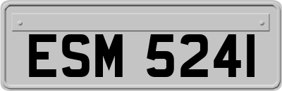 ESM5241