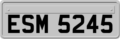 ESM5245