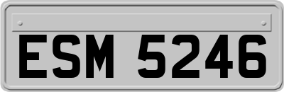 ESM5246