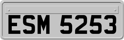 ESM5253