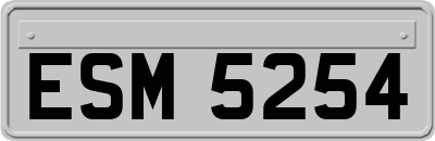 ESM5254