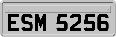 ESM5256