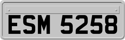 ESM5258