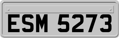 ESM5273