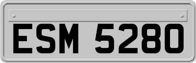 ESM5280
