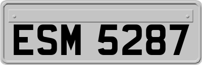 ESM5287