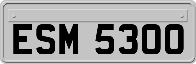 ESM5300