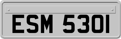 ESM5301