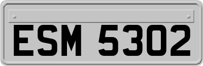 ESM5302