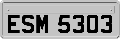 ESM5303