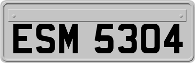 ESM5304
