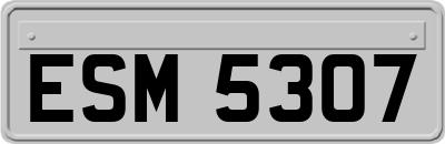 ESM5307