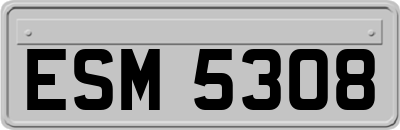 ESM5308