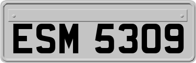 ESM5309