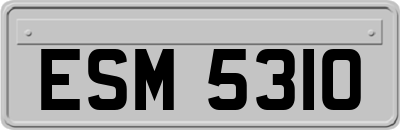 ESM5310