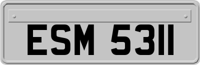 ESM5311