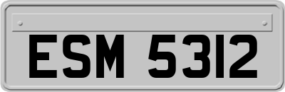 ESM5312