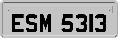 ESM5313