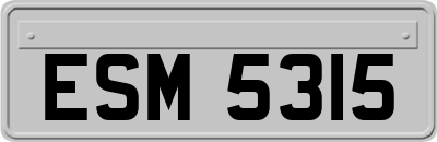 ESM5315
