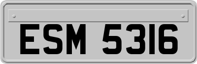 ESM5316