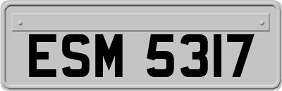 ESM5317