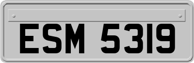 ESM5319