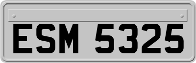 ESM5325