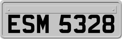 ESM5328