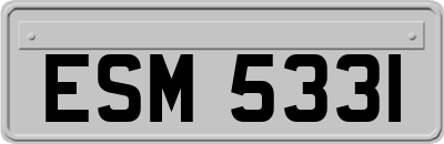 ESM5331