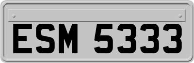 ESM5333