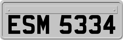 ESM5334