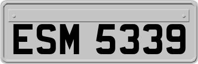 ESM5339