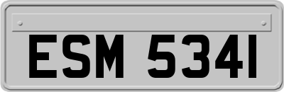 ESM5341