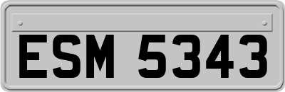 ESM5343