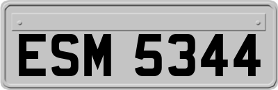 ESM5344