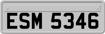 ESM5346