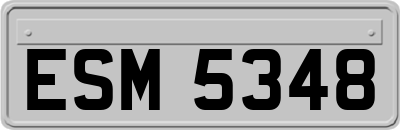 ESM5348