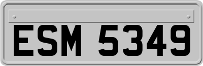 ESM5349