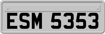 ESM5353