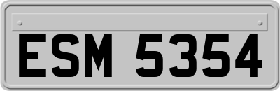 ESM5354