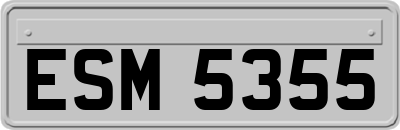 ESM5355